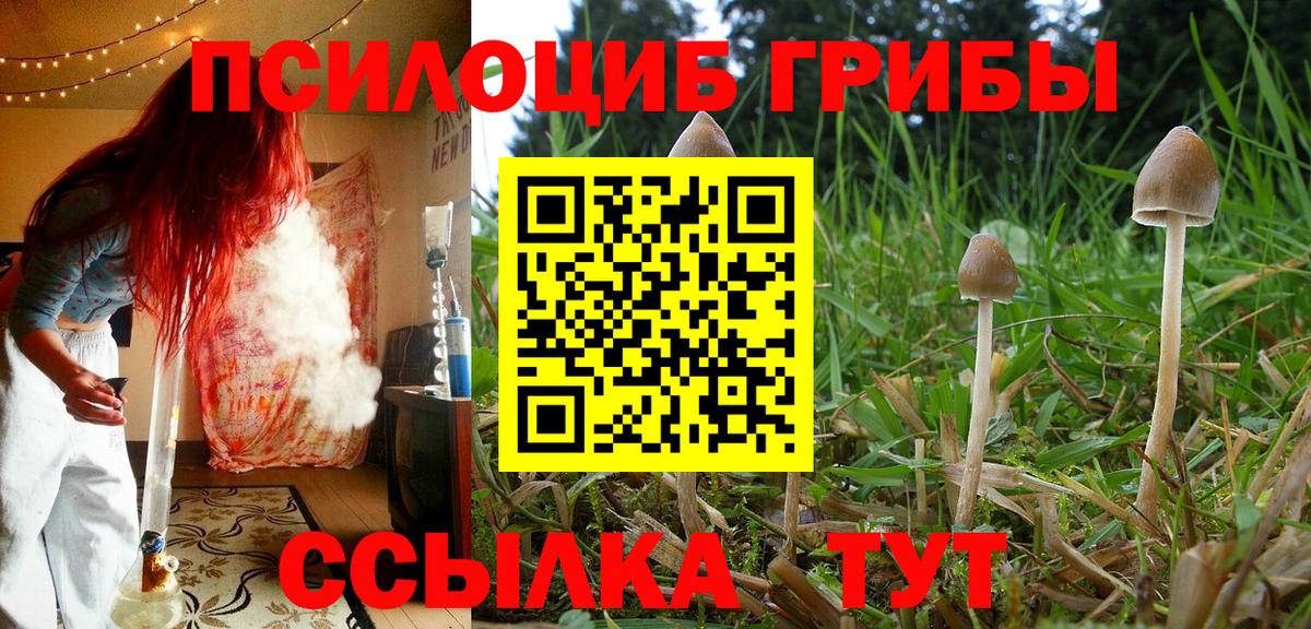 Галлюциногенные грибы MAGIC MUSHROOMS  Галлюциногенные грибы Psilocybe  Стрежевой  Вход с VPN 